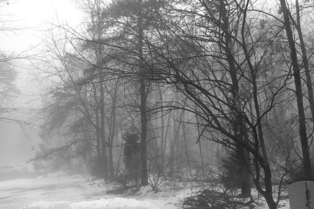 morning fog BW by hjbenson