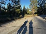 11th May 2024 - Shadows on an old road