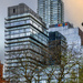 Google Building Toronto 