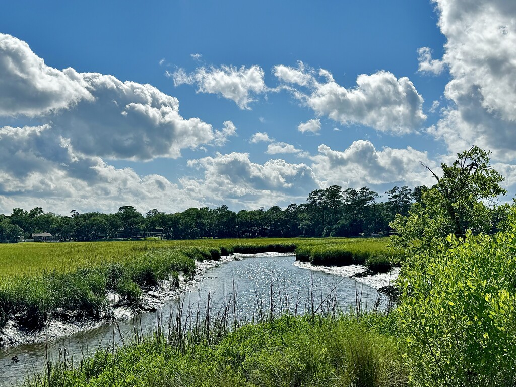 Summer-like clouds and marsh creek by congaree