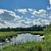Summer-like clouds and marsh creek