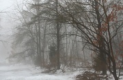 4th Feb 2011 - morning fog
