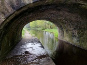 12th May 2024 - On the canal at Diggle