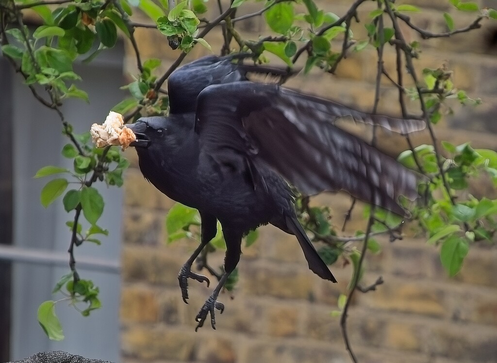 Off for a quiet bite to eat by billyboy