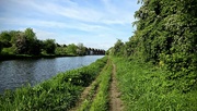 13th May 2024 - 134/366 - Rotherham Canal