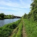 134/366 - Rotherham Canal by isaacsnek