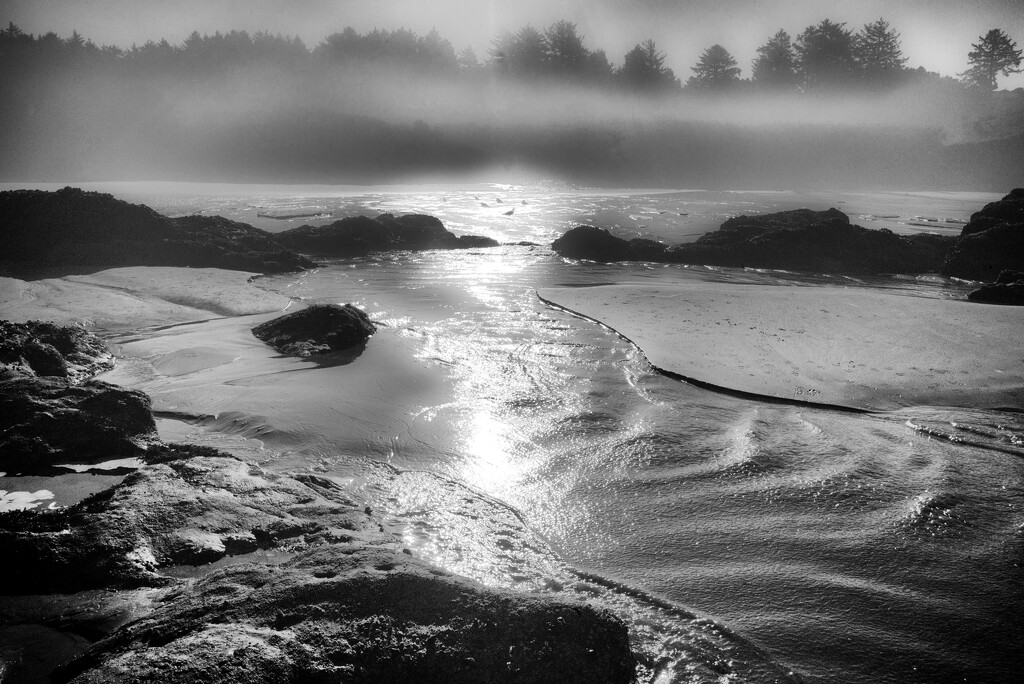 Misty low tide by joysabin