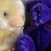 Half Yellow Chick, Half Violet Bear