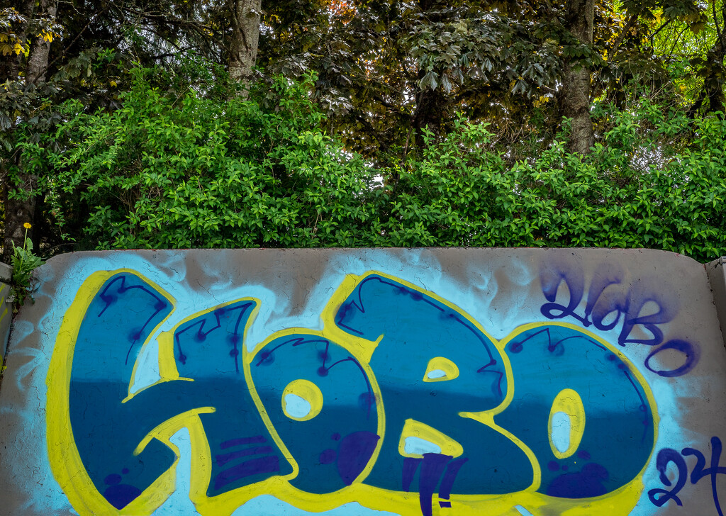 Hobo Jungle by cdcook48