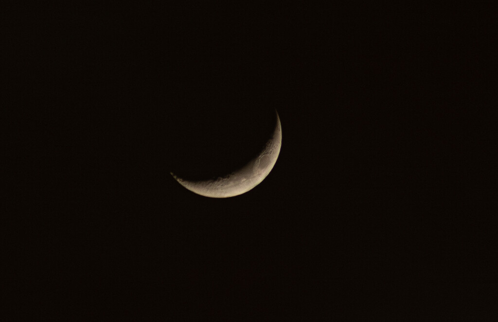Crescent Moon by leopuv