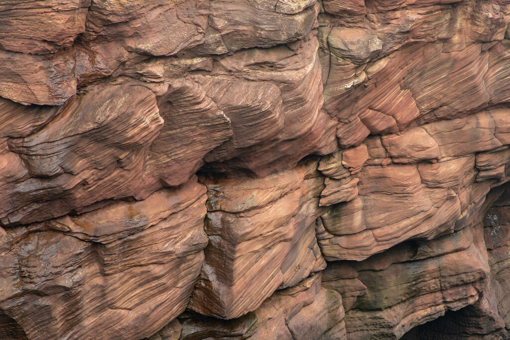 Red Cliff - Berwick-Upon-Tweed by tonus