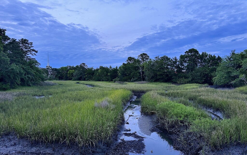 Marsh creek, early evening just after sunset by congaree