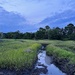 Marsh creek, early evening just after sunset