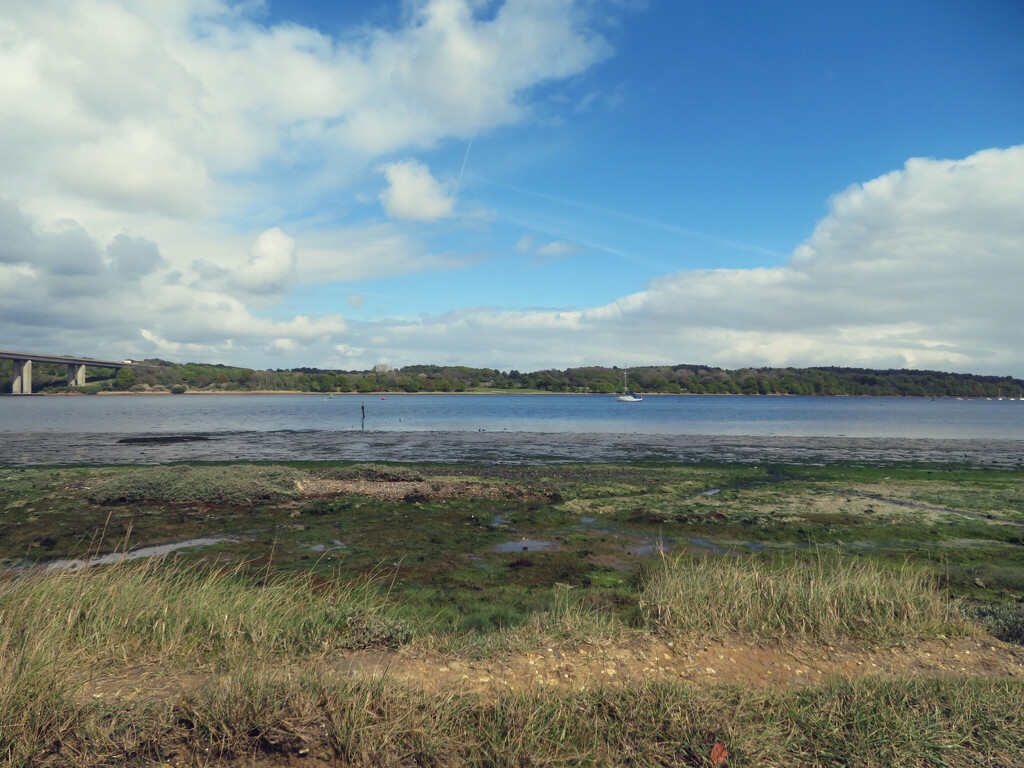 Over the salt marsh  to the river by lellie