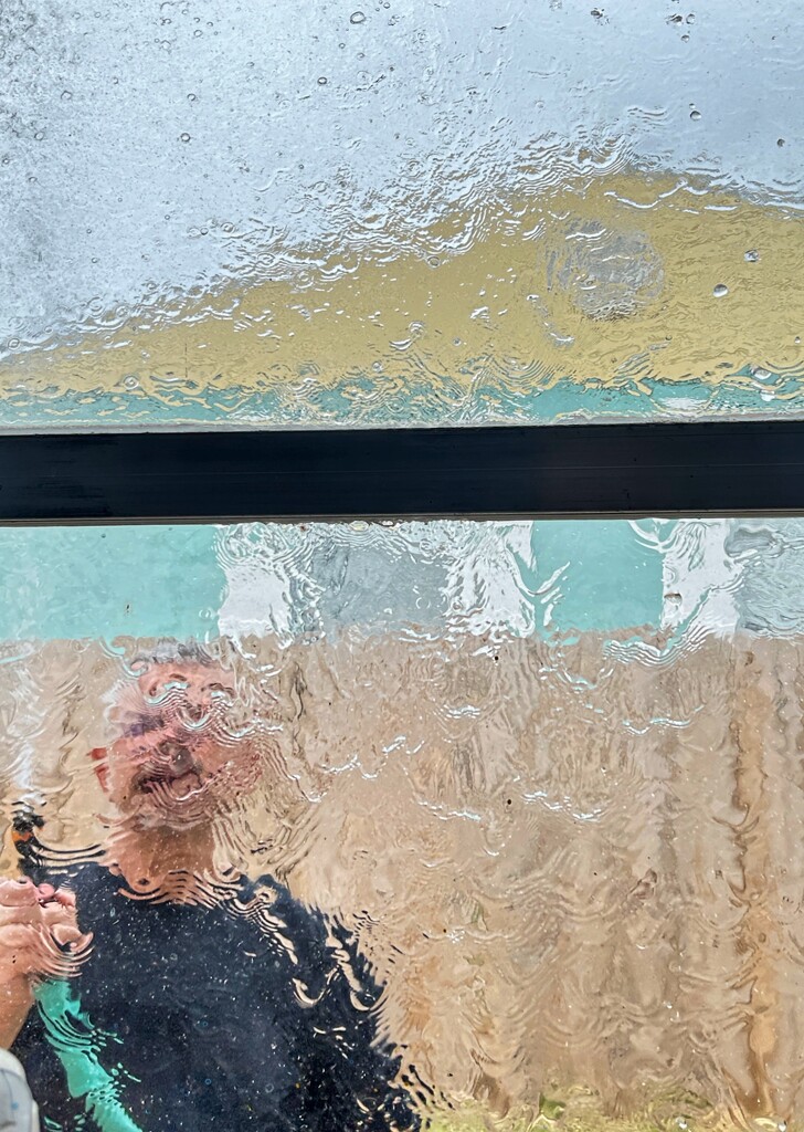 Window washer by joemuli