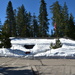 Sequoia N.P. visitors center by bigdad