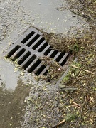 14th May 2024 - D Is for Drain