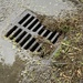 D Is for Drain