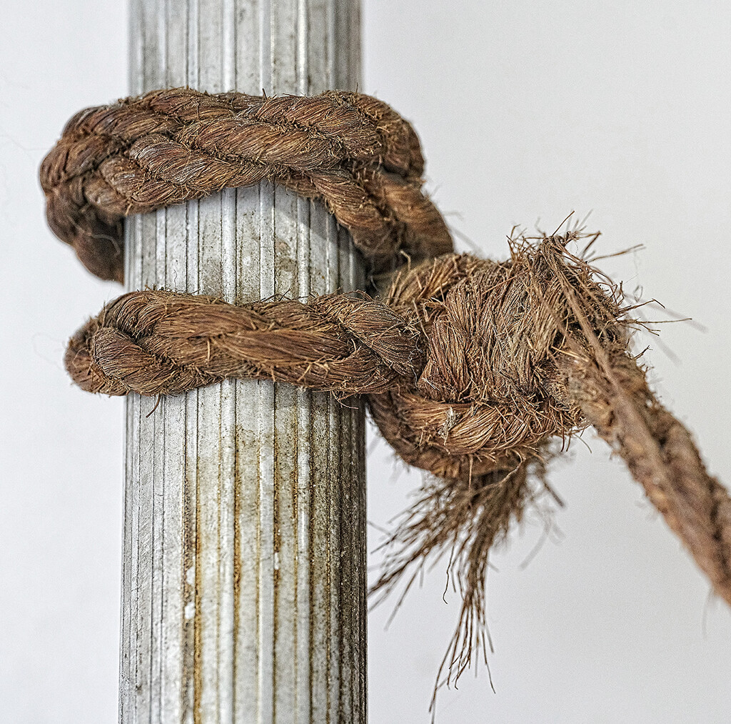 Ladder Knot by gardencat
