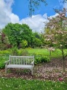 13th May 2024 - A Bench To Enjoy The View 