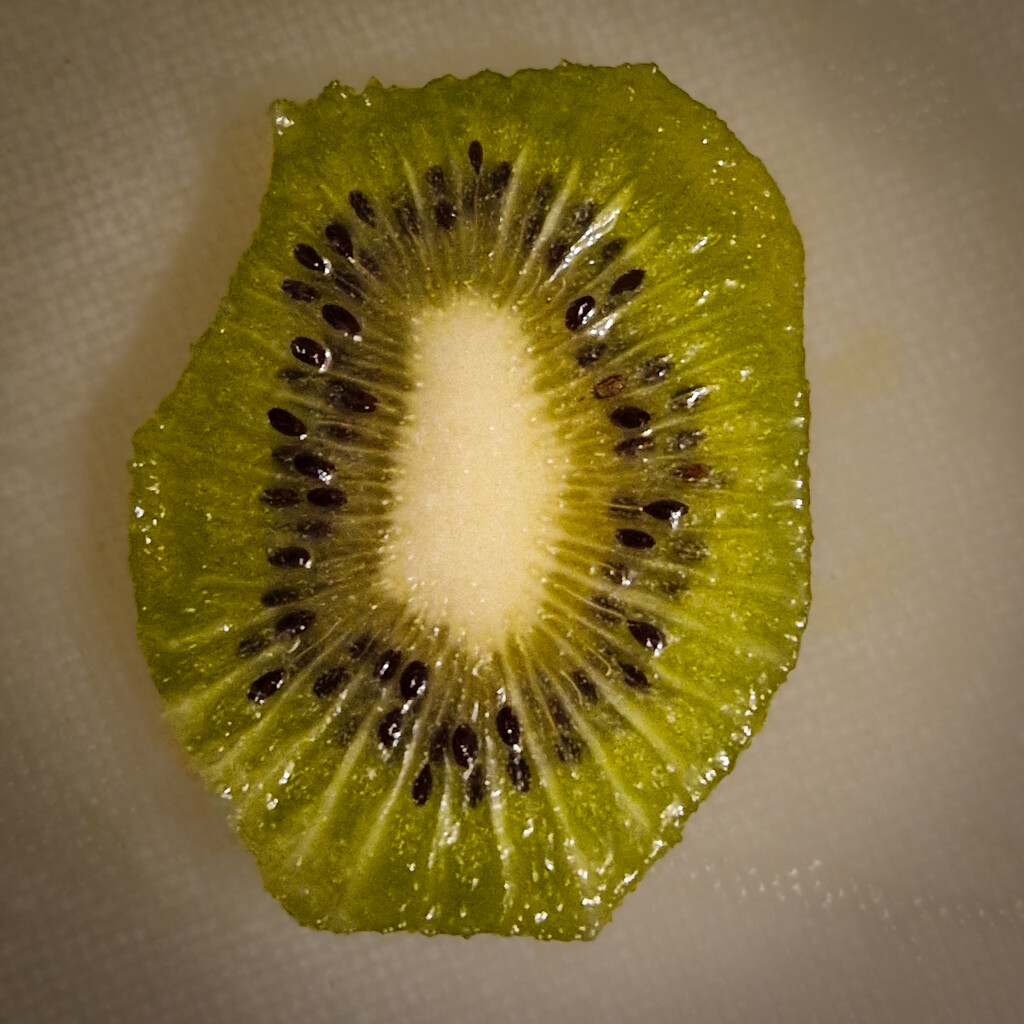 Kiwi by andyharrisonphotos
