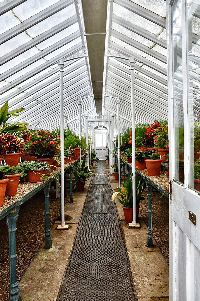 Victorian Glasshouse by wakelys