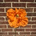 Orange on Brick