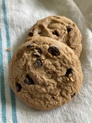 15th May 2024 - Chocolate Chip Day