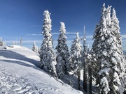 19th Jan 2024 - Bluebird day