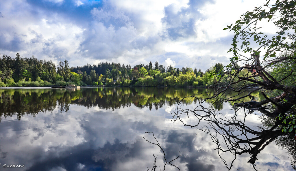 Lost Lagoon by ankers70