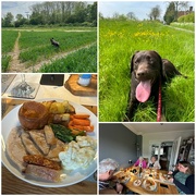 6th May 2024 - Scout Walks & Family Roasts