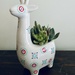 I can’t resist a cute planter! by mtb24