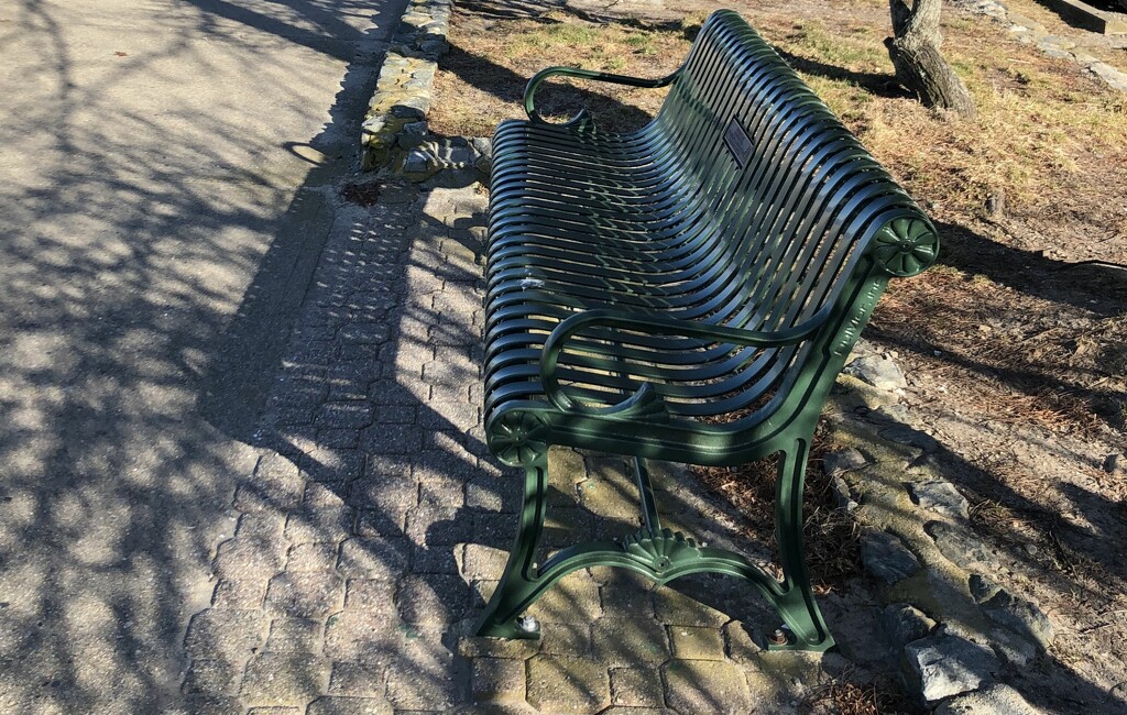 Bench and Shadows by paulabriggs