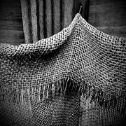 15th May 2024 - Thatch of Burlap