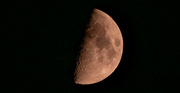 15th May 2024 - Half Moon Tonight!
