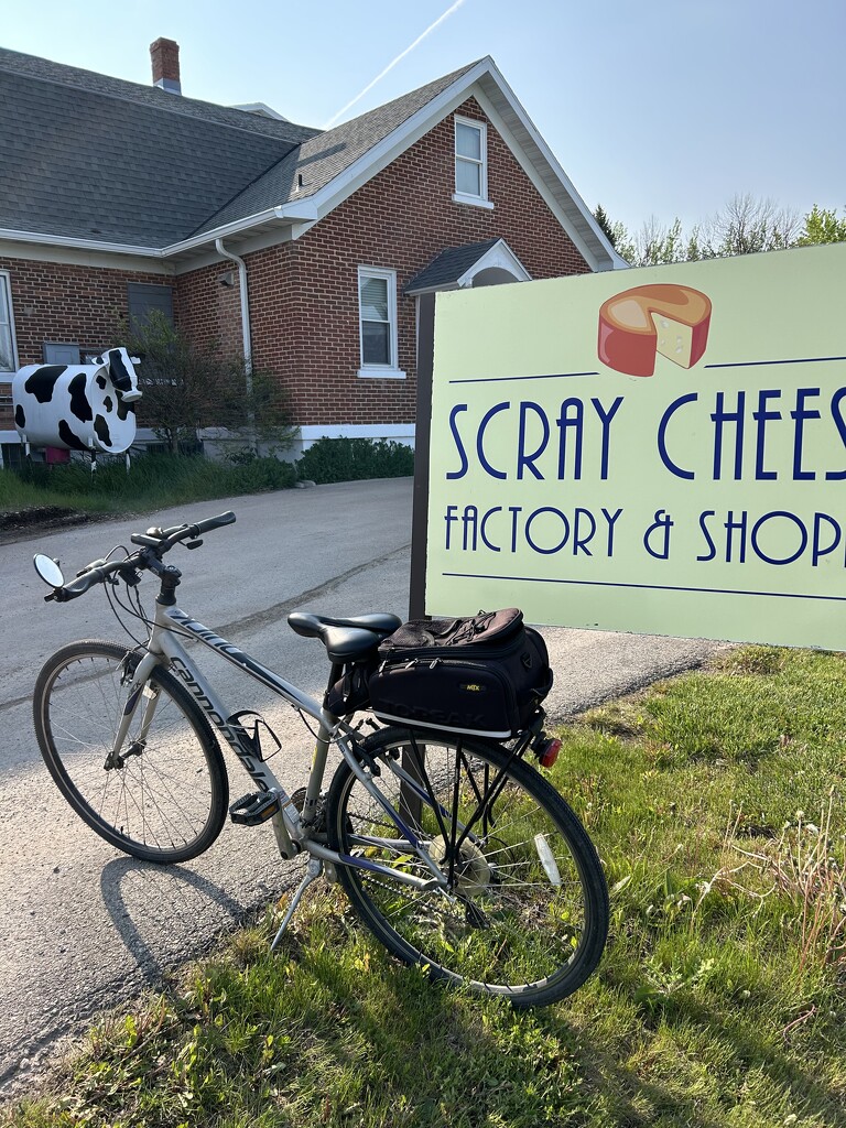 Bike ride to the cheese store  by mltrotter