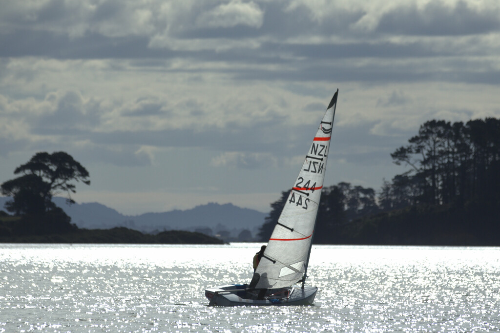 NZ Finn Masters Nationals by dide