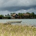 Seaside Grasses