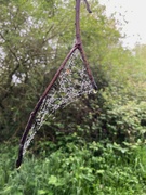16th May 2024 - Jewelled web