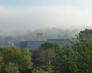 8th May 2024 - Morning mist