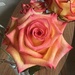 Mother's Day Roses by peekysweets