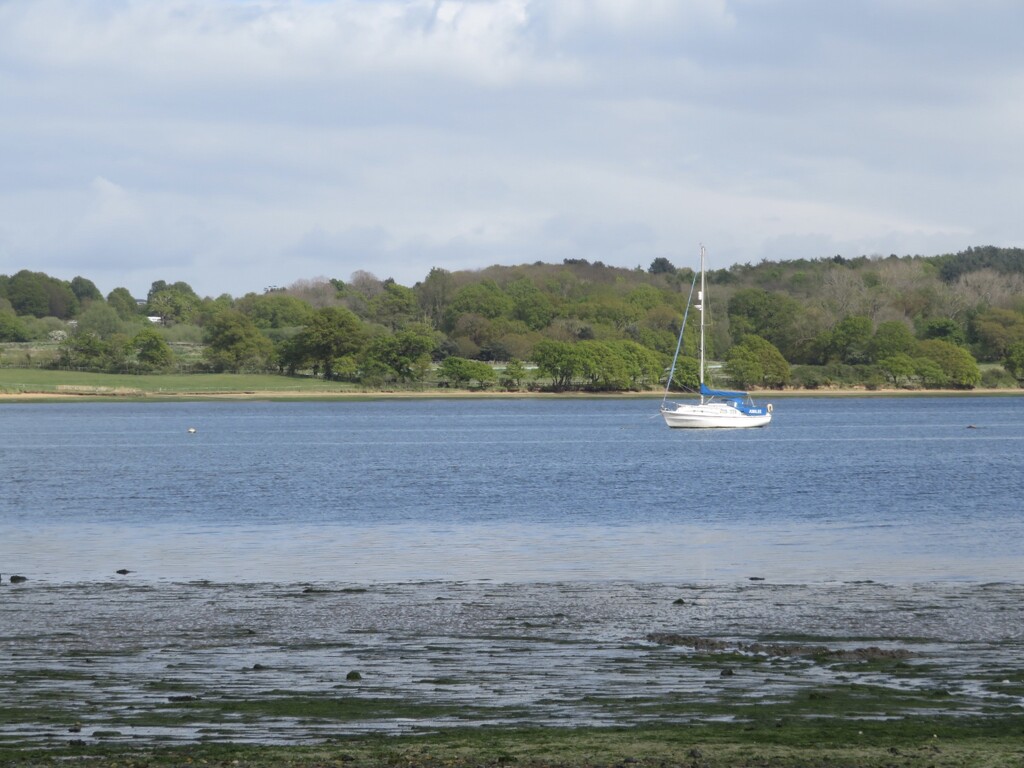 Across the River Orwell by lellie