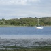 Across the River Orwell