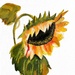 Sunflower (painting) by stuart46
