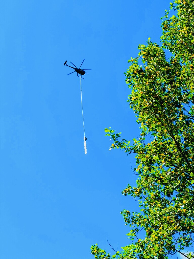 Helicopter Saw by k9photo
