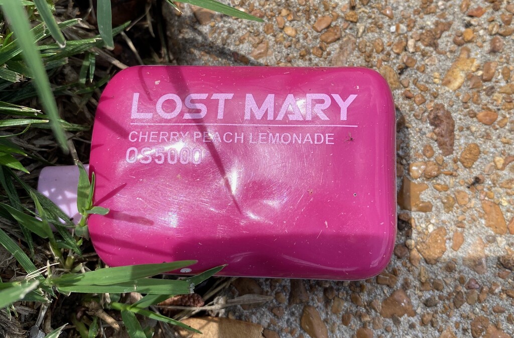 Lost Mary by rocketboyt28