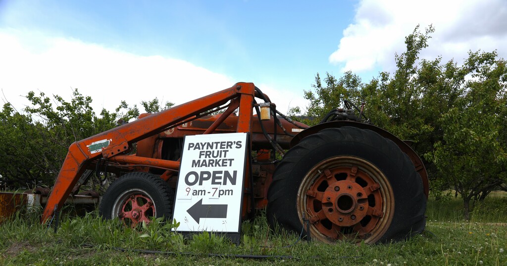 Paynters tractor by jerzyfotos