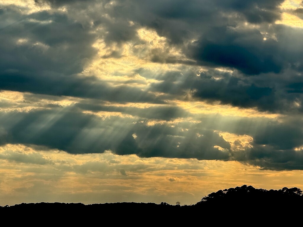 Sun rays by congaree