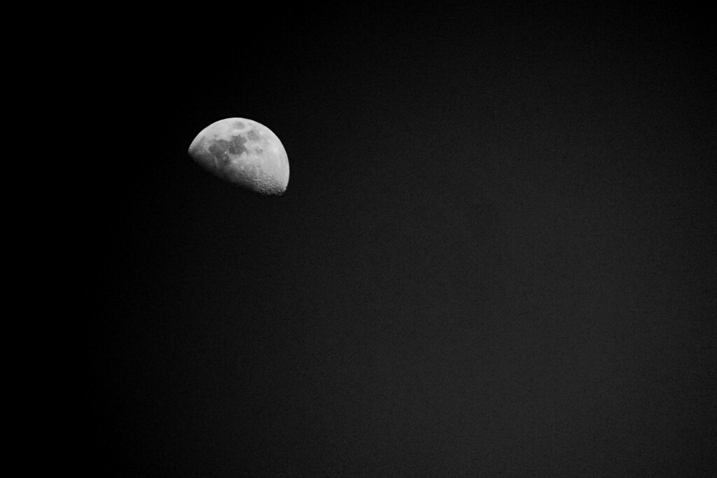 Moon Over My House  by photohoot
