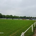 Hinckley Rugby Football Club by ludbrook482